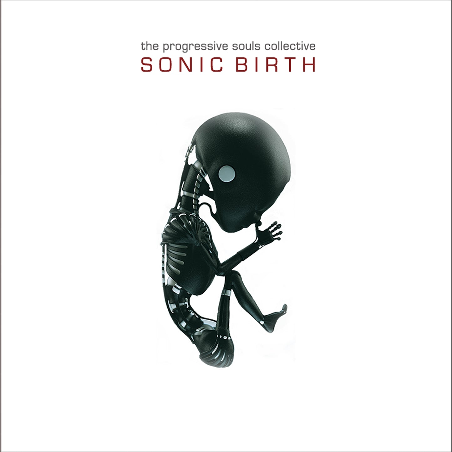The Progressive Souls Collective - Sonic Birth CD digipak