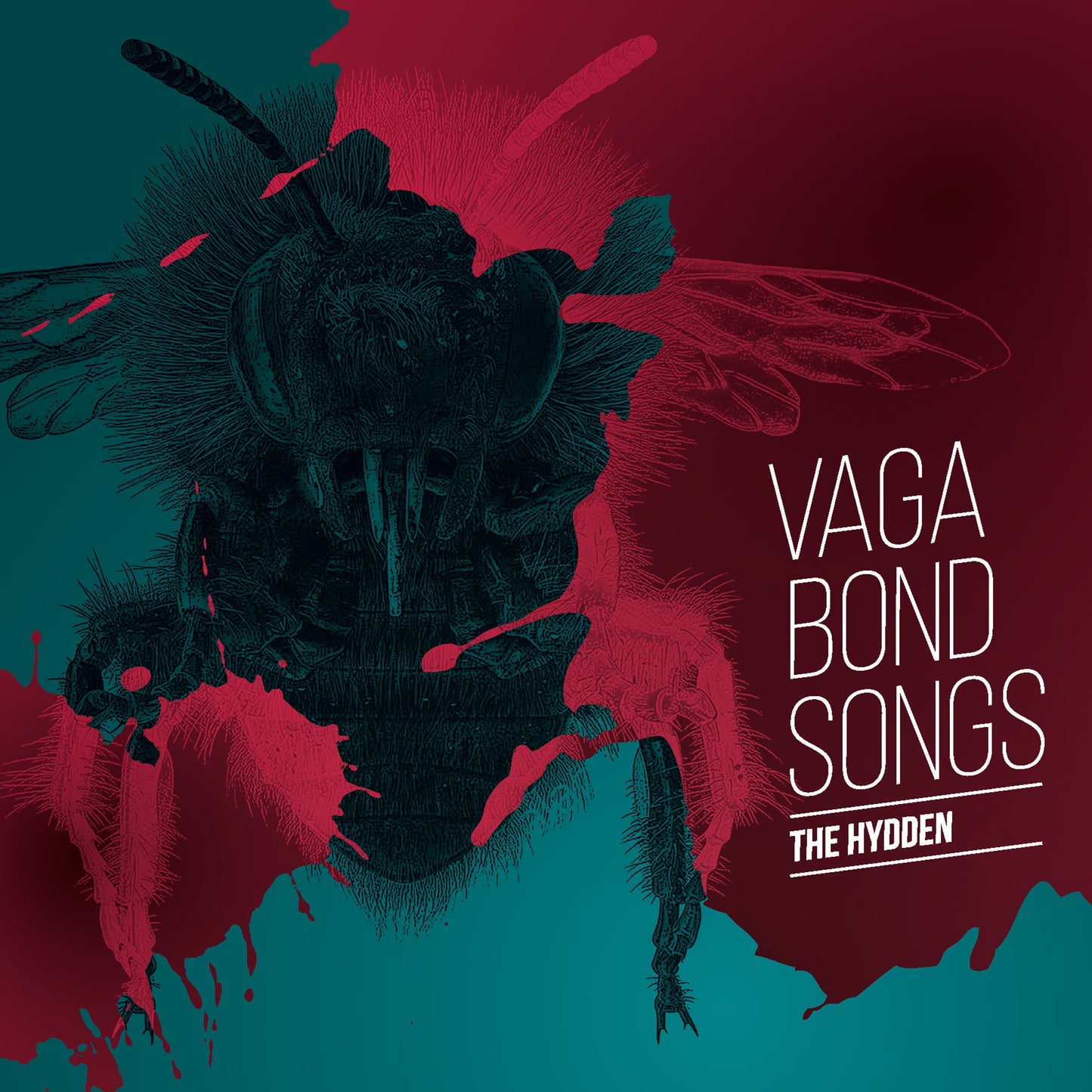The Hydden - Vagabond Songs (Vinyl)