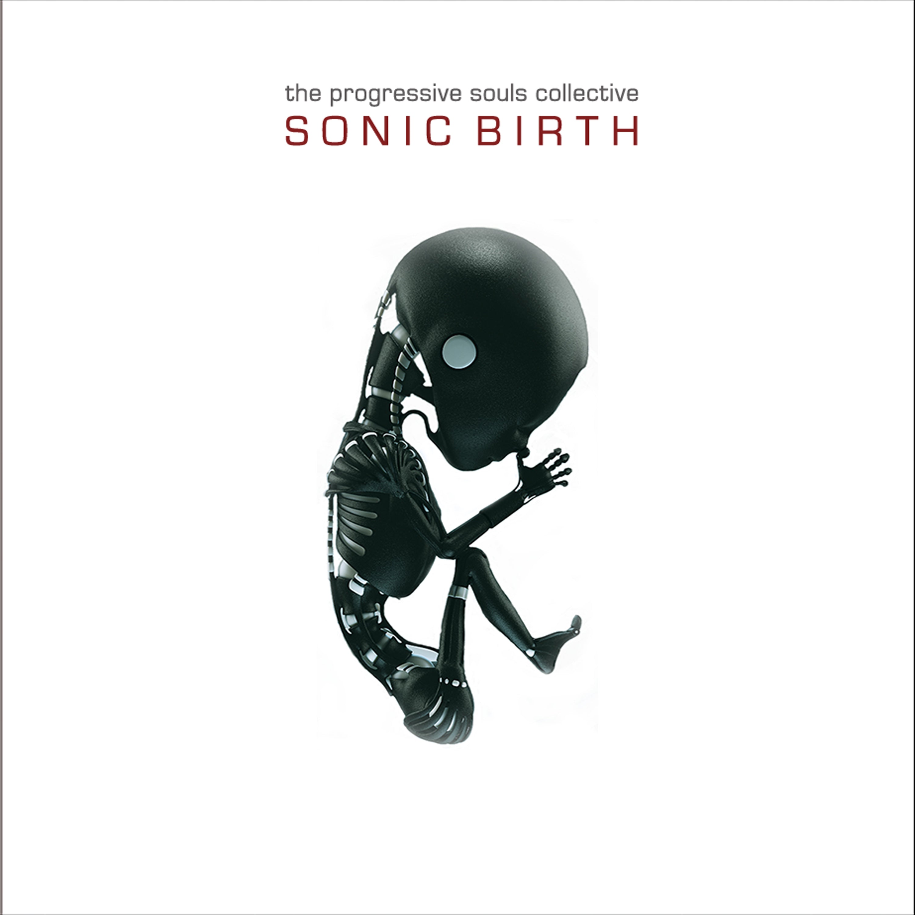 The Progressive Souls Collective - Sonic Birth CD digipak