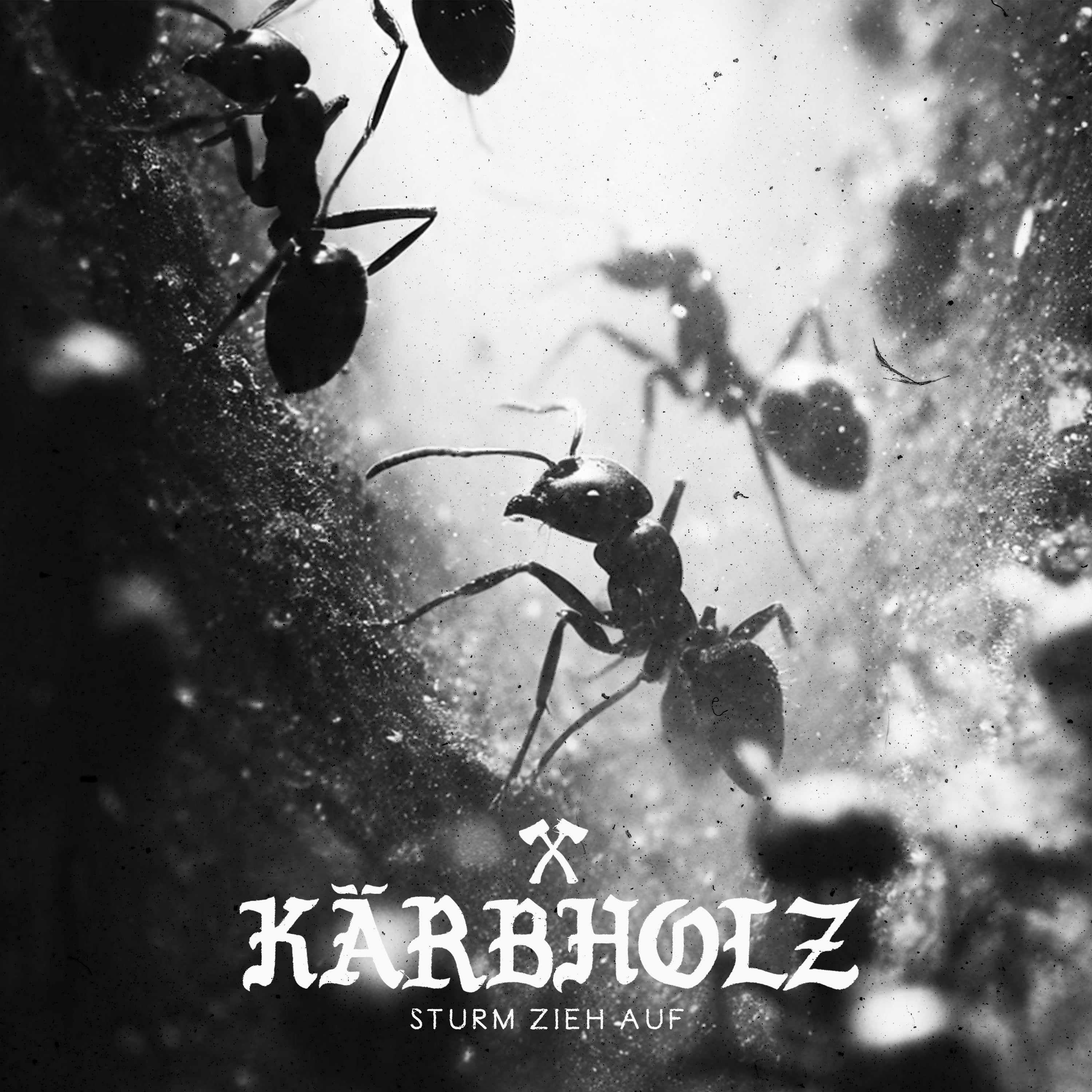 Kärbholz - Sturm Zieht Auf (CD digipak) (18.09.26)