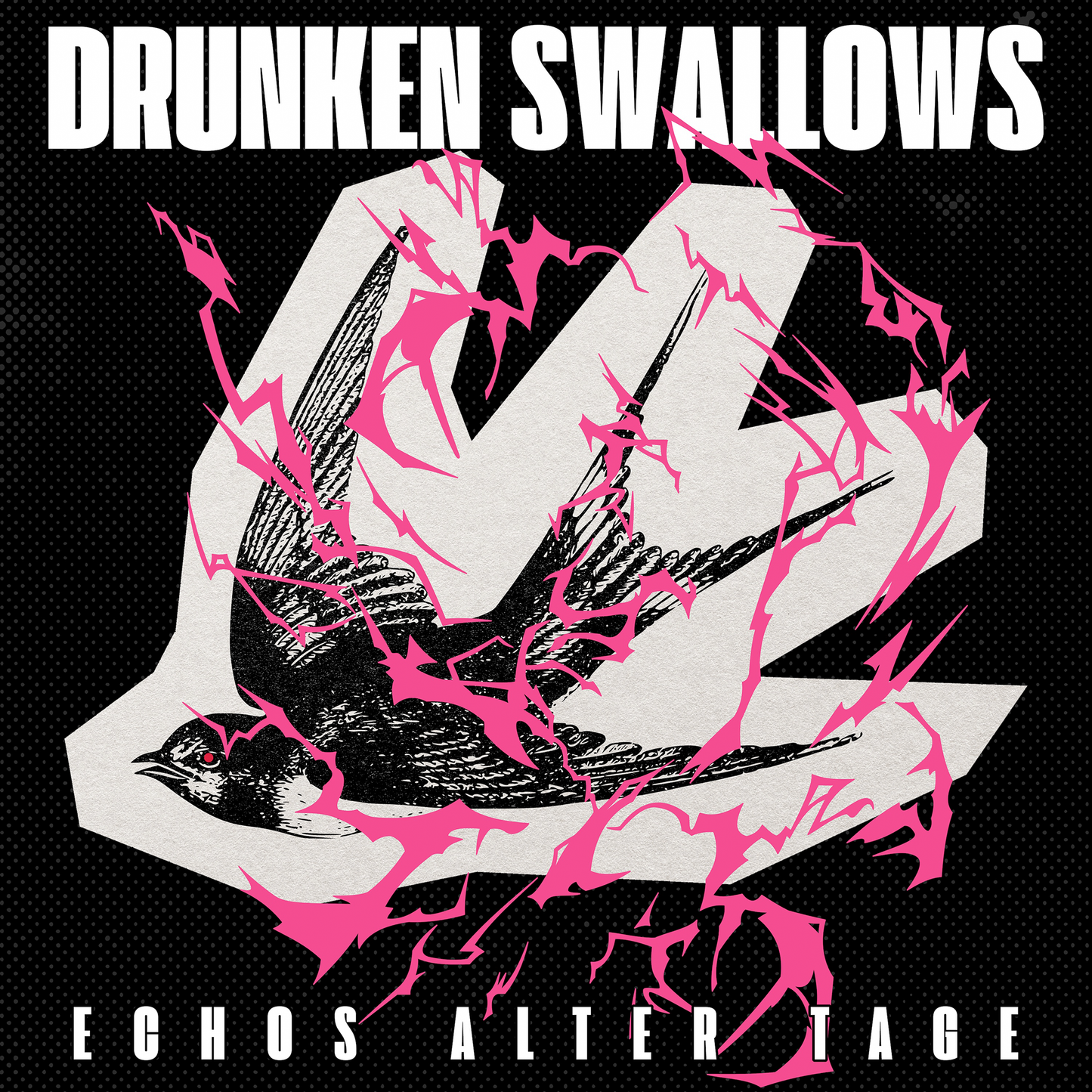 Drunken Swallows - Echos Alter Tage (CD digipak)(17.04.2026)