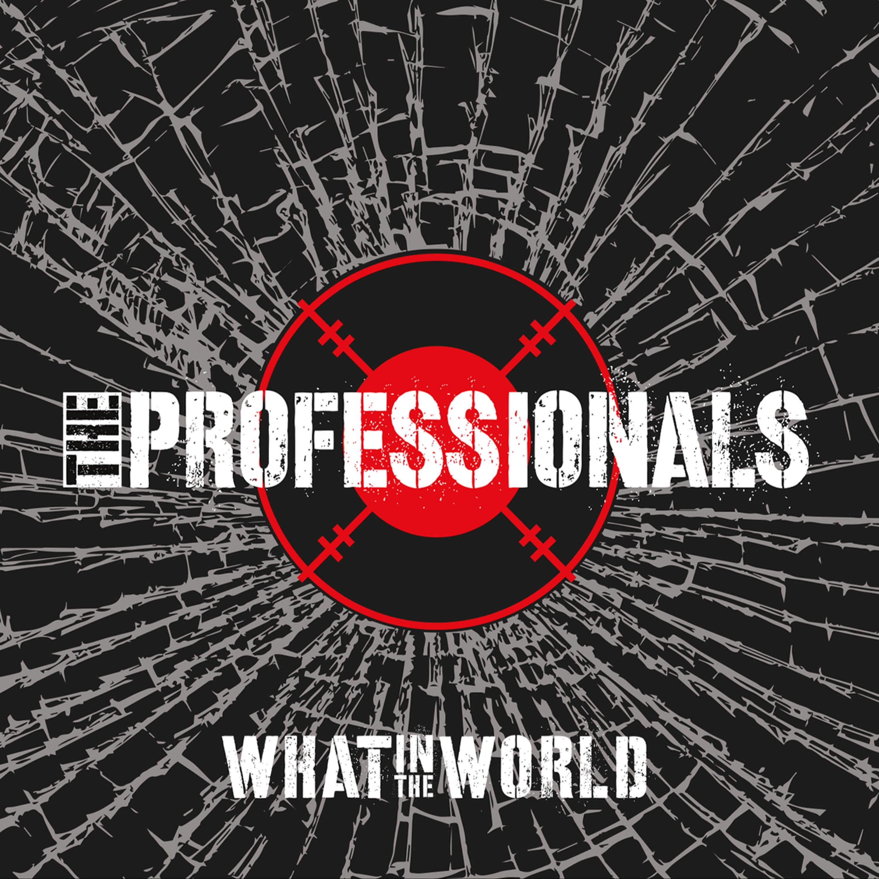 The Professionals - What In The World CD digipak