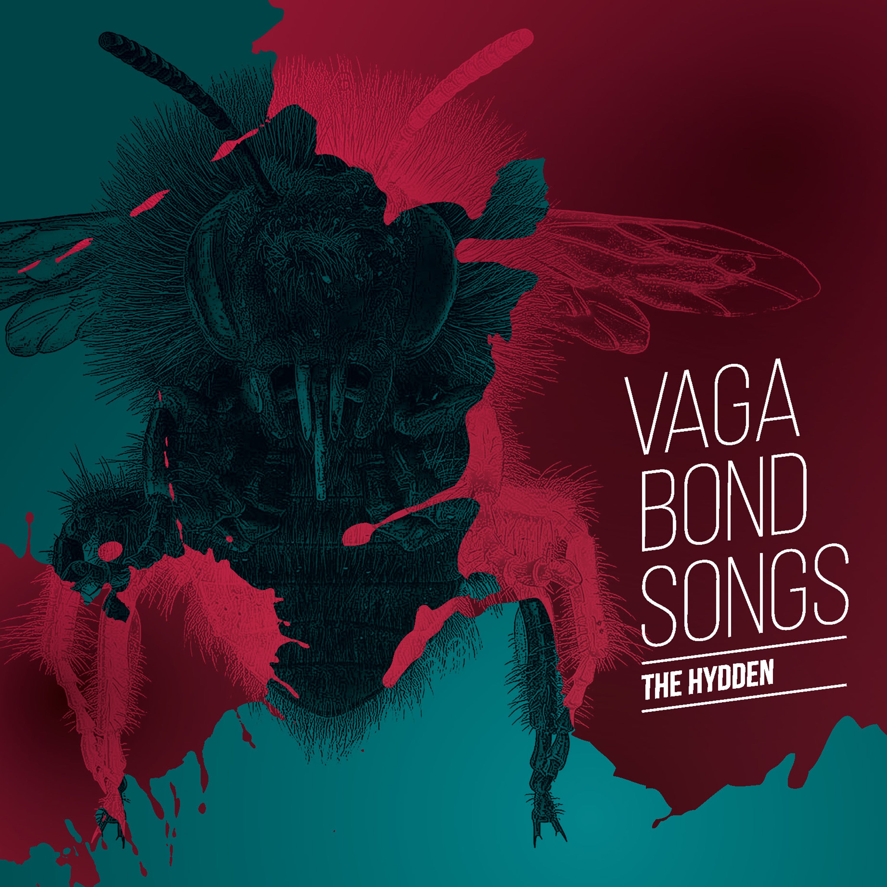 The Hydden - Vagabond Songs (Vinyl)